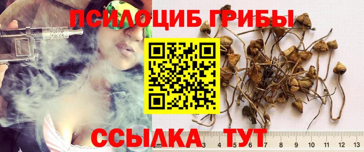 Таганрог  Галлюциногенные грибы GOLDEN TEACHER  Вход с VPN 